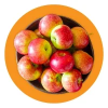 apples
